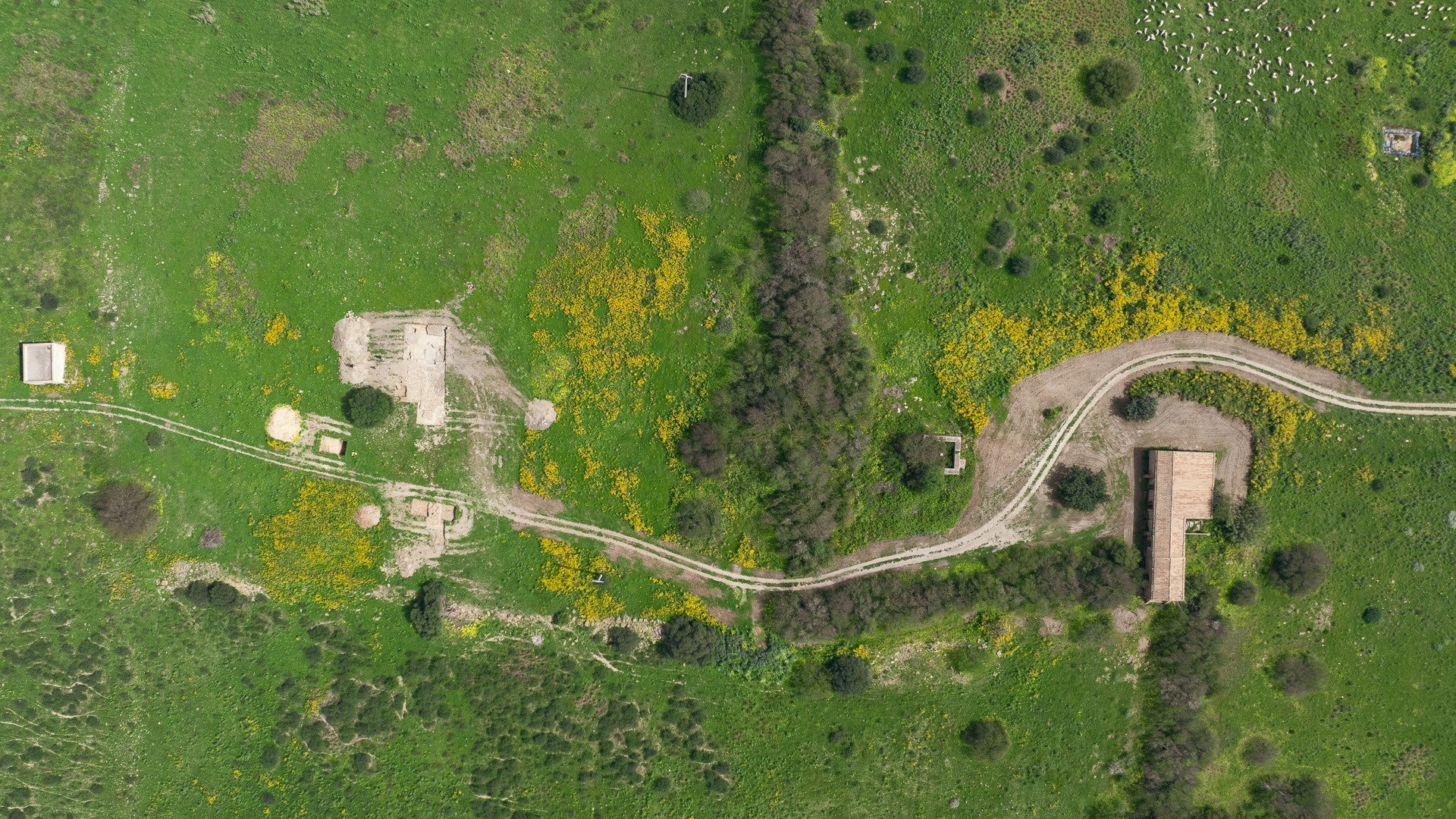 selinunte_parco_scoperta-porta-monumentale_veduta-zenitale_foto-regione-siciliana